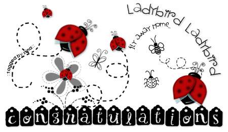 ladybird-congratulations_stina0907